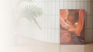 Choosing Wall Art for Colour-Drenched Interiors