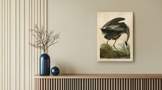 John James Audubon