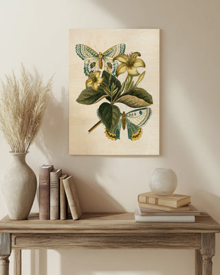 Butterfly Oasis IV