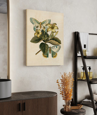 Butterfly Oasis IV
