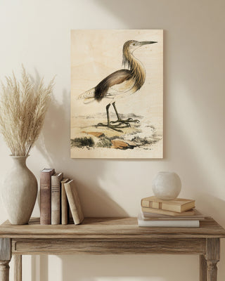 Antique Heron I