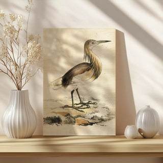 Antique Heron I