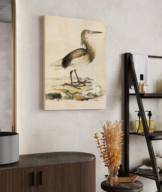 Antique Heron I