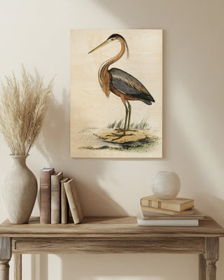 Antique Heron II