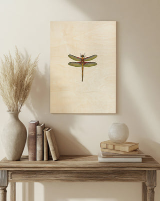 Miniature Dragonfly IV (JR)