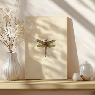 Miniature Dragonfly IV (JR)