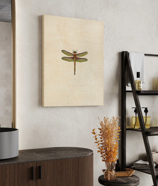 Miniature Dragonfly IV (JR)