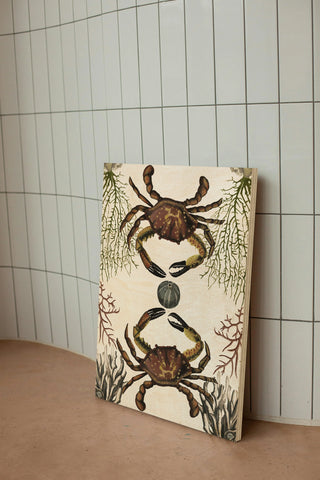 Antiquarian Menagerie - Crab