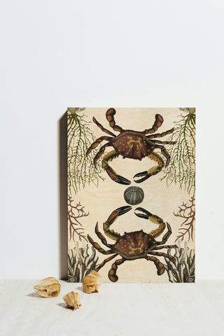Antiquarian Menagerie - Crab