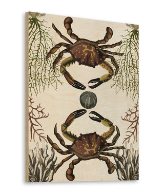 Antiquarian Menagerie - Crab