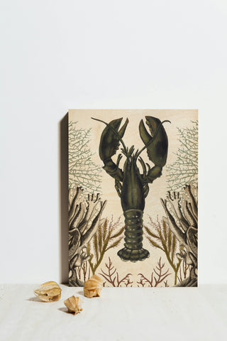 Antiquarian Menagerie - Lobster