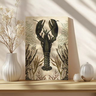Antiquarian Menagerie - Lobster