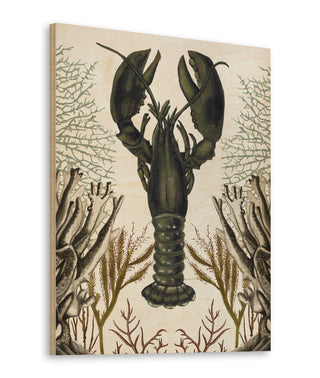 Antiquarian Menagerie - Lobster