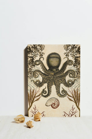 Antiquarian Menagerie - Octopus