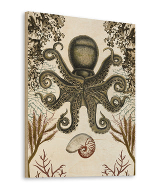 Antiquarian Menagerie - Octopus