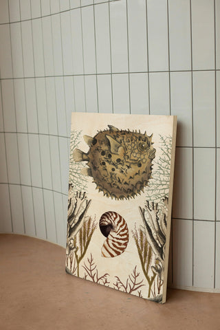Antiquarian Menagerie - Puffer Fish