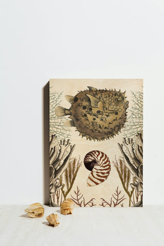Antiquarian Menagerie - Puffer Fish