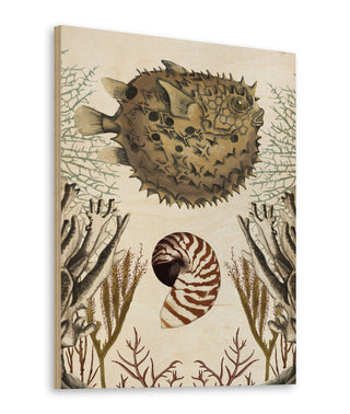 Antiquarian Menagerie - Puffer Fish