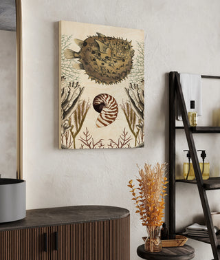 Antiquarian Menagerie - Puffer Fish