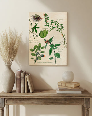 Sweet Assemblage I