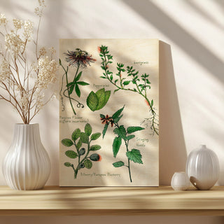 Sweet Assemblage I