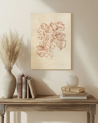 Seaweed Specimens VI