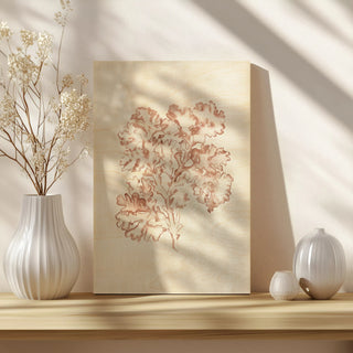 Seaweed Specimens VI