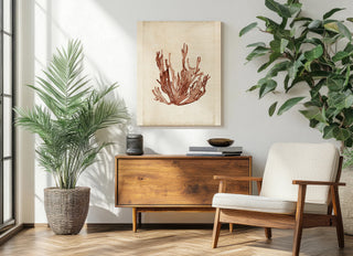 Seaweed Specimens VII