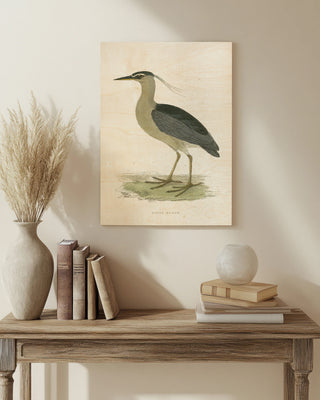Vintage Night Heron