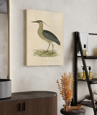 Vintage Night Heron