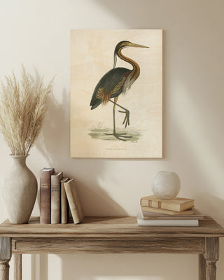 Vintage Purple Heron