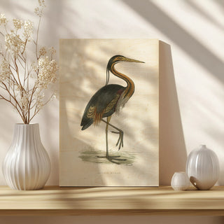 Vintage Purple Heron