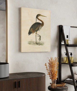 Vintage Purple Heron