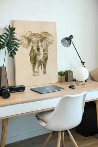 Baby Elephant I