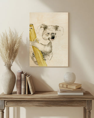 Baby Koala II
