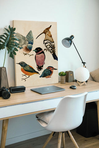 Bird Collection I
