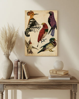 Bird Collection II