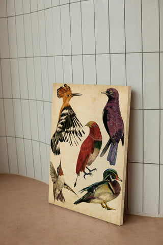 Bird Collection II