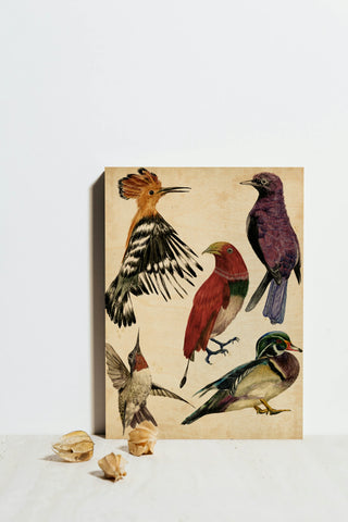 Bird Collection II