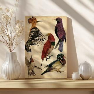 Bird Collection II