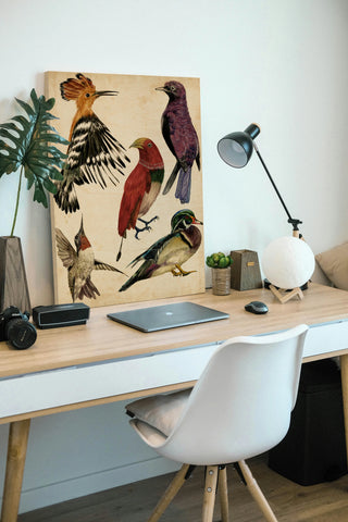 Bird Collection II