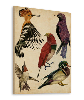 Bird Collection II