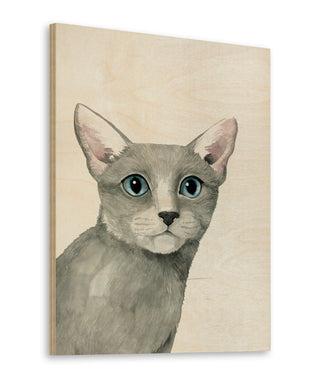 Cat Portrait I