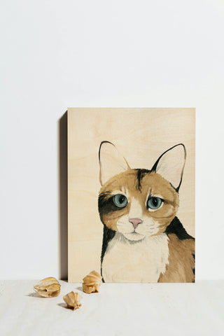 Cat Portrait II
