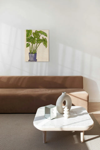 Potted Jungle III