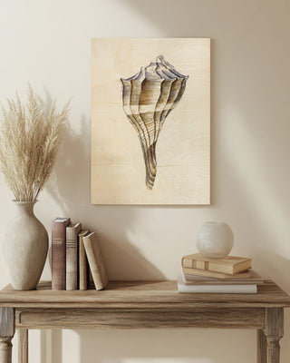 Watercolor Seashell I