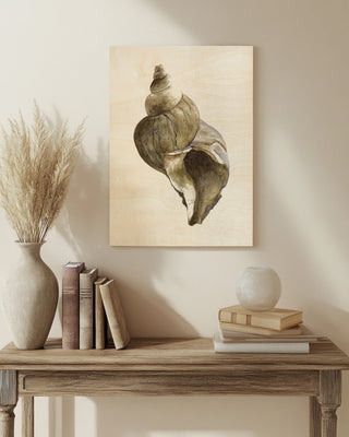 Watercolor Seashell II