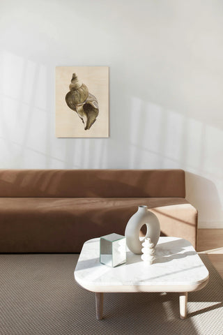 Watercolor Seashell II