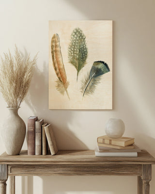 Watercolor Feathers I