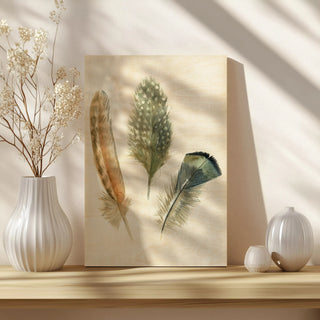 Watercolor Feathers I